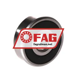 FAG S6301-2RSR-HLC rulman resim 2