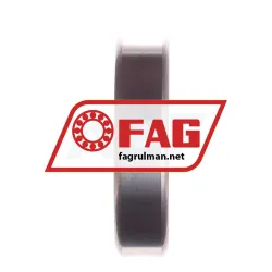 FAG S6207-2RSR-HLC rulman resim 2