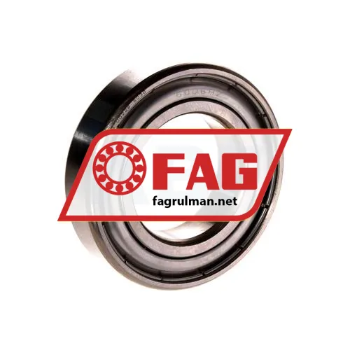 FAG S6006-2Z-HLC