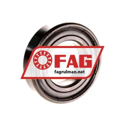 FAG S6006-2Z-HLC