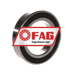 FAG S6010-2RSR-FD rulman resim 2
