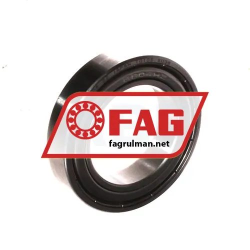 FAG S61804-2Z-HLC