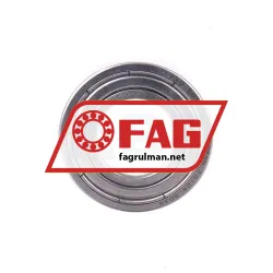 FAG S61901-2Z-HLC