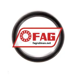 FAG S61705-2RSR-HLC rulman resim 2