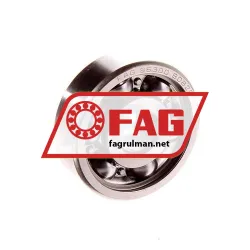 FAG S6300-HLC