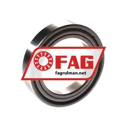 FAG S61805-2Z-HLC rulman resim 2