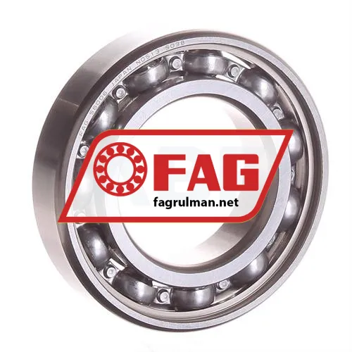 FAG S6006-HLC
