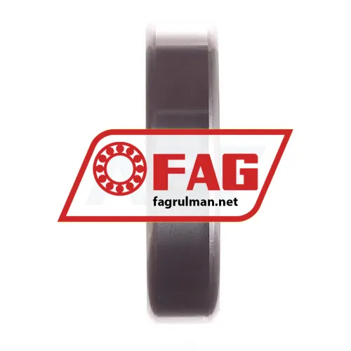 FAG S6006-HLC ürün fotoğrafı 2