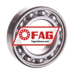 FAG S6006-HLC
