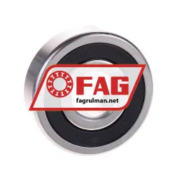 FAG S6303-2RSR-W203B