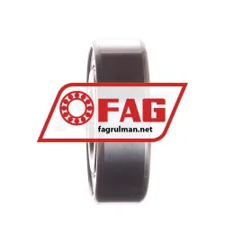 FAG S6202-2RSR-HLC rulman resim 2