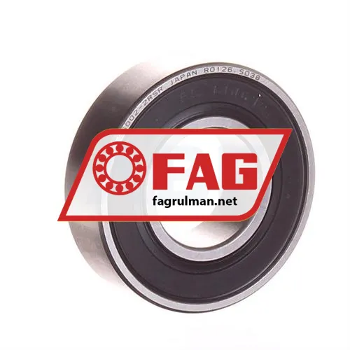 FAG S6002-2RSR-HLC