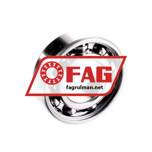 FAG S6004-W203B ürün fotoğrafı 2