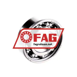 FAG S6004-W203B