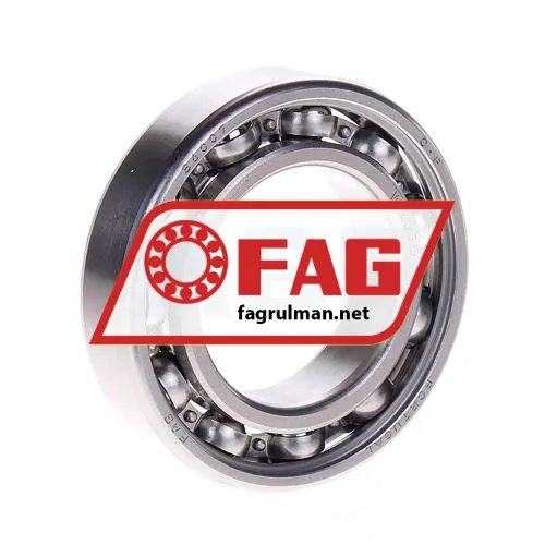 FAG S6007-W203B
