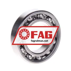 FAG S6007-W203B