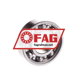 FAG S6001-HLC