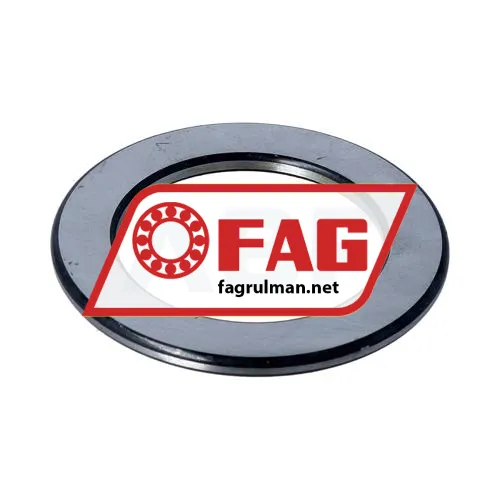 FAG WS81108