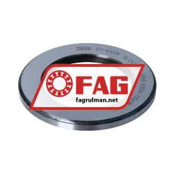 FAG GS81209