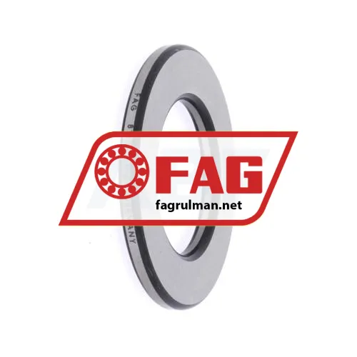 FAG WS81206