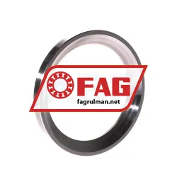 FAG U209 rulman resim 2