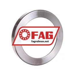 FAG U310