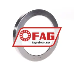 FAG U313