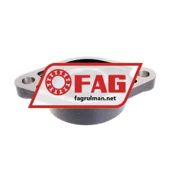 FAG UCFL213-J7 rulman resim 3