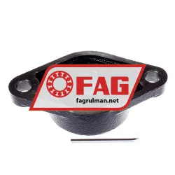FAG UCFL207-20-J7 rulman resim 2