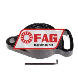 FAG UCFA207-J7 rulman resim 2