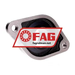 FAG UCFL215-46-J7 rulman resim 2