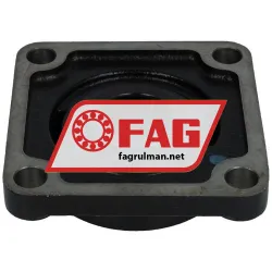 FAG UCF207-21-J7 rulman resim 2