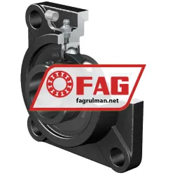 FAG UCF207-21-J7 rulman resim 4