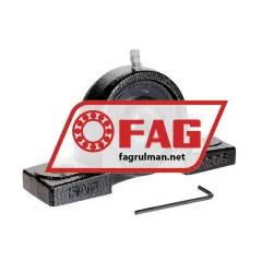 FAG UCP206-J7 rulman resim 2