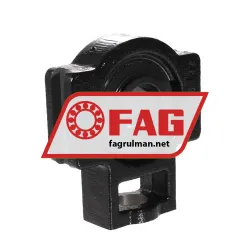 FAG UCT206-19-J7 rulman resim 3