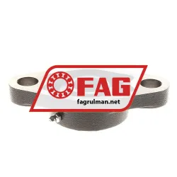 FAG UCFL205-J7 rulman resim 2