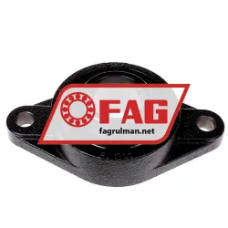 FAG UCFL211