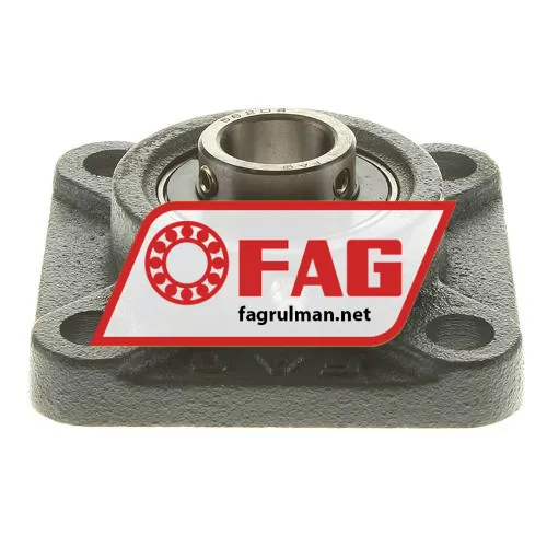 FAG F56204