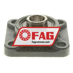 FAG F56204