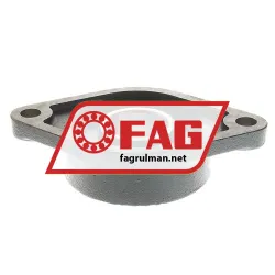 FAG FL56208 rulman resim 2