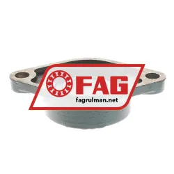 FAG FL16209 rulman resim 2