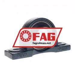 FAG P56208