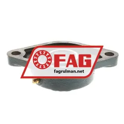 FAG FL56207 rulman resim 2