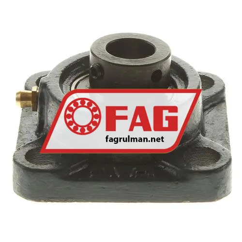FAG F16203