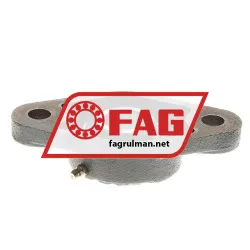 FAG FL56205-015 rulman resim 2