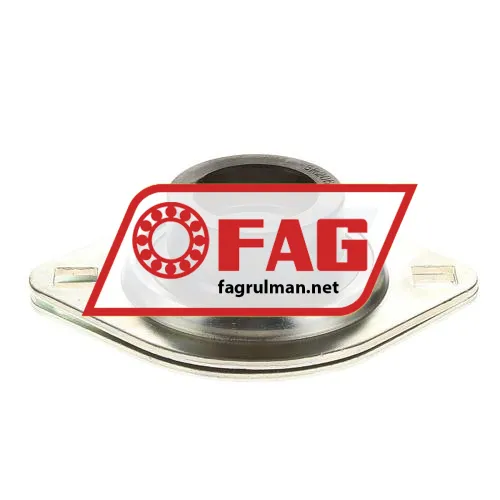 FAG RATY30
