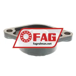 FAG FL36209 rulman resim 2