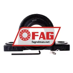 FAG UCP209