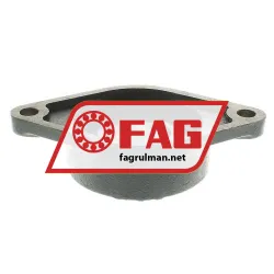 FAG FL16212 rulman resim 2