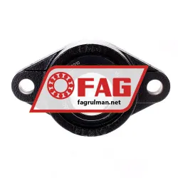 FAG UCFL210 rulman resim 2
